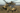 MILITARY HELICOPTERS IN AFRICAN OPERATIONS