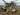 MILITARY HELICOPTERS IN AFRICAN OPERATIONS