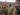 ECOWAS MILITARY INTERVENTION IN NIGER: A TURNING POINT?